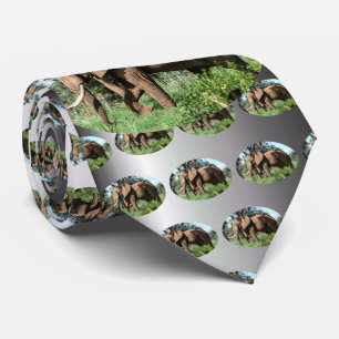 African Elephant in the Safari Tie