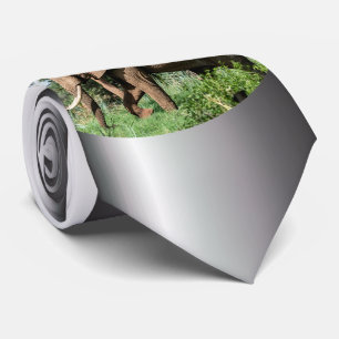 African Elephant in the Safari Tie