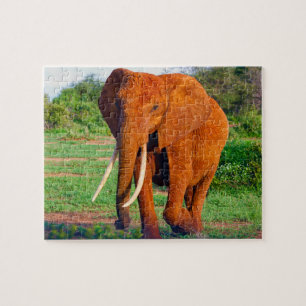 African Elephant Jigsaw Puzzle
