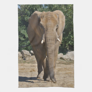 African Elephant Kitchen Towel