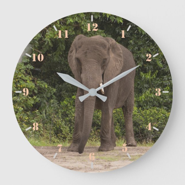 African elephant large clock (Front)