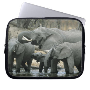 African Elephant, (Loxodonta africana), drinking Laptop Sleeve