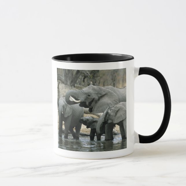African Elephant, (Loxodonta africana), drinking Mug (Right)
