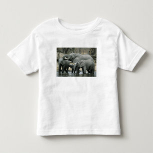 African Elephant, (Loxodonta africana), drinking Toddler T-Shirt