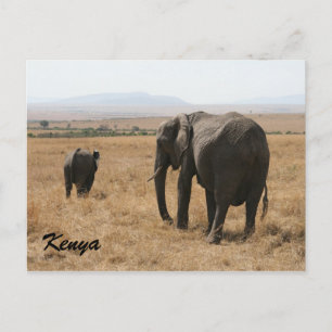 african elephant mother postcard