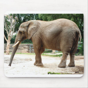 African elephant mouse pad