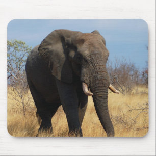 African Elephant Mouse Pad