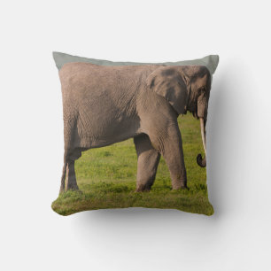 African Elephant, Ngorongoro Conservation Area Cushion