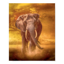 African Elephant Nobility