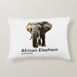 African elephant on a plain white background decorative cushion