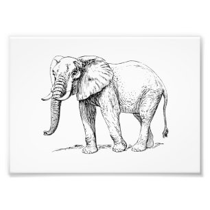 African Elephant Photo Print