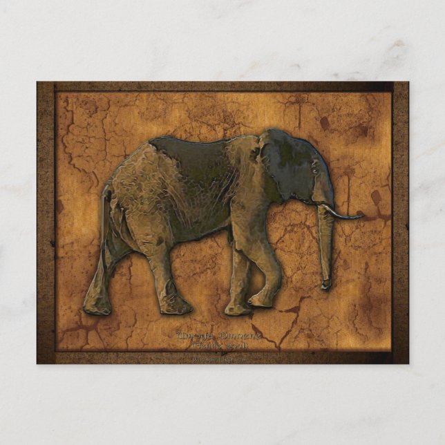 African Elephant Postcards (Front)