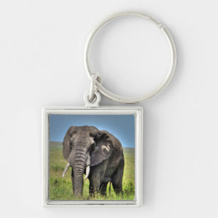 African Elephant & Savannah Grasses Key Ring
