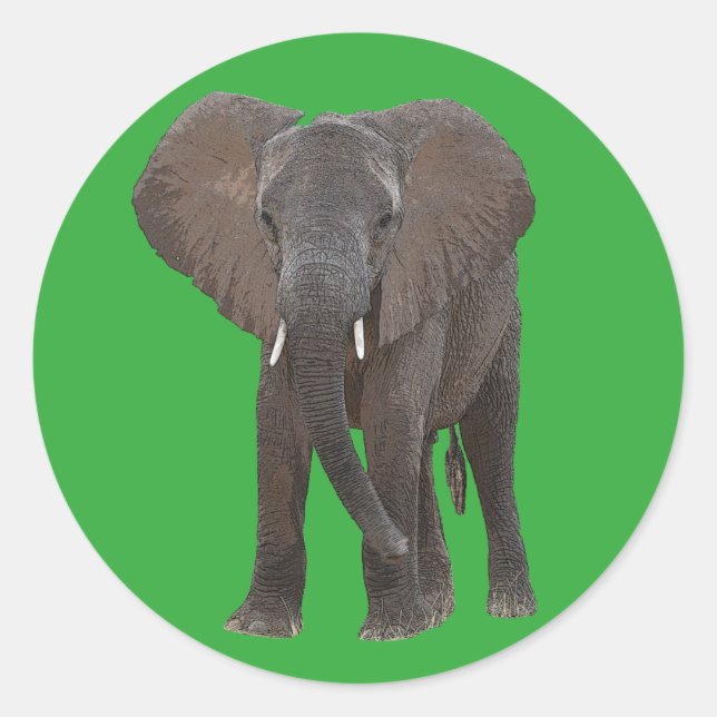African Elephant Sticker (Front)