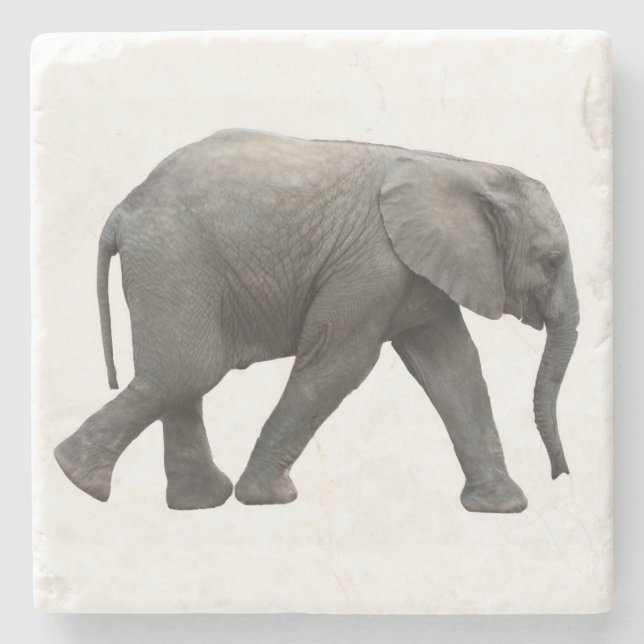 African elephant stone coaster (Front)