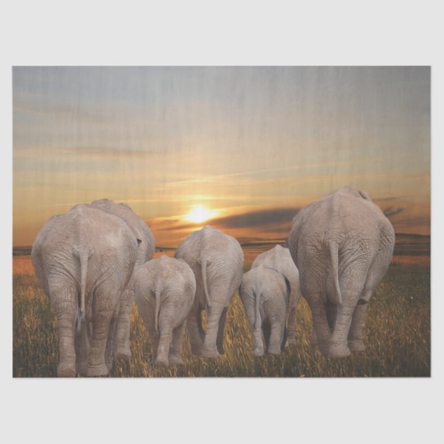 African Elephant Sunset Tissue Paper (Front)