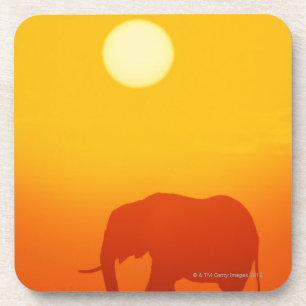 African elephant walking at sunset , Kenya , Coaster