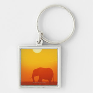 African elephant walking at sunset , Kenya Key Ring