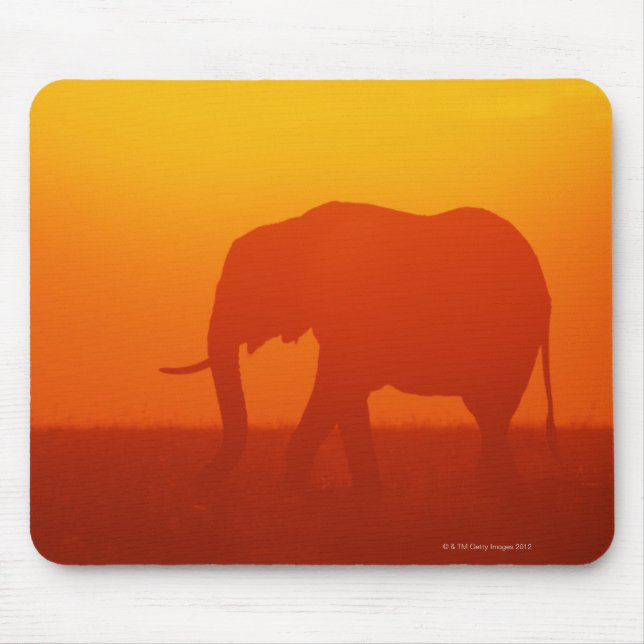 African elephant walking at sunset , Kenya , Mouse Pad (Front)