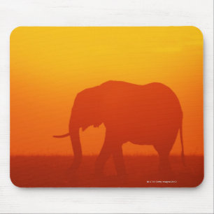 African elephant walking at sunset , Kenya Mouse Pad