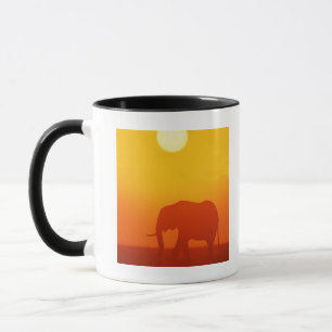 African elephant walking at sunset , Kenya Mug