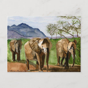 African Elephant Watercolor Painting Postcard