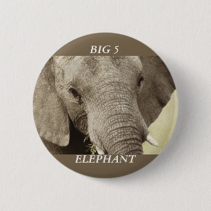 African elephant wildlife safari badges & buttons