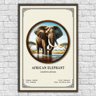 African Elephant Zoology Series Poster
