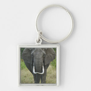 African Elephantna loxodonta, Masai Mara Game Key Ring