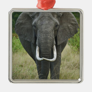 African Elephantna loxodonta, Masai Mara Game Metal Ornament