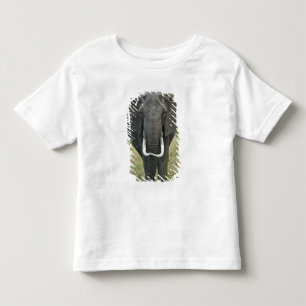 African Elephantna loxodonta, Masai Mara Game Toddler T-Shirt