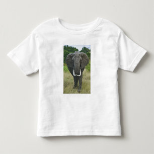 African Elephantna loxodonta, Masai Mara Game Toddler T-Shirt