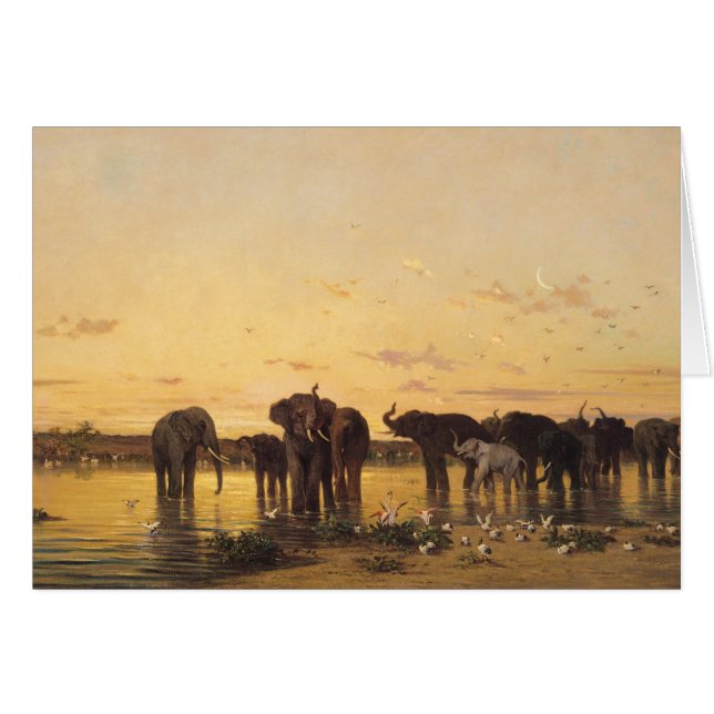 African Elephants (Front Horizontal)