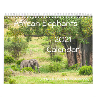 African Elephants 2021 Wall Calendar