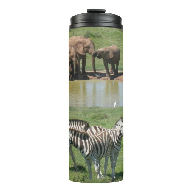 African Elephants and Zebras Tumbler (Front)