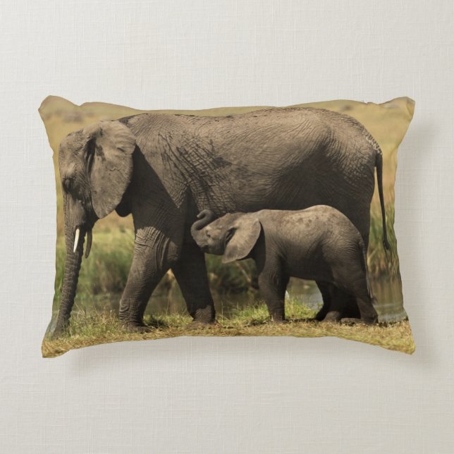 African Elephants Decorative Cushion (Front)