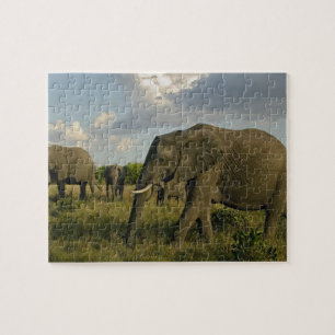 African Elephants grazing, Loxodonta africana, Jigsaw Puzzle