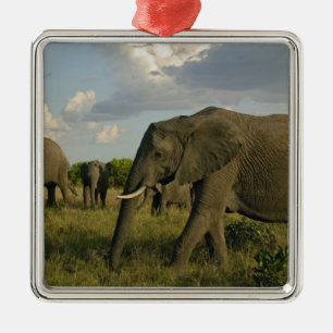 African Elephants grazing, Loxodonta africana, Metal Tree Decoration