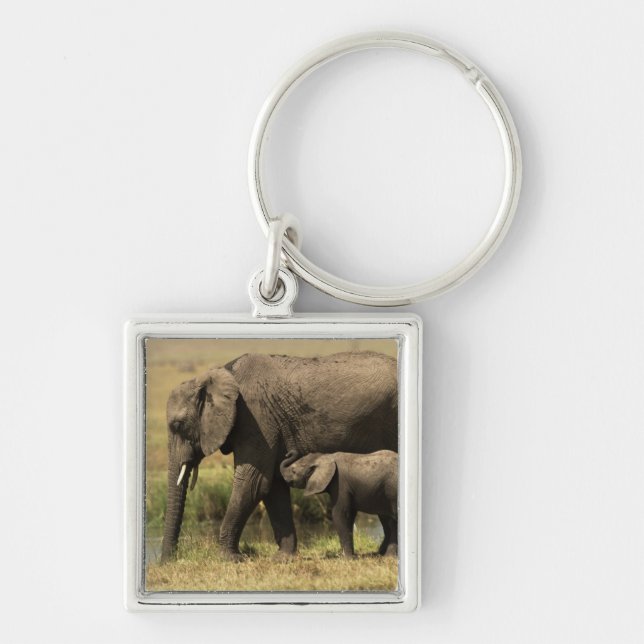 African Elephants Key Ring (Front)