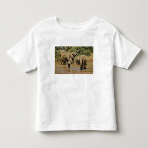African Elephants, Loxodonta Africana, Samburu Toddler T-Shirt