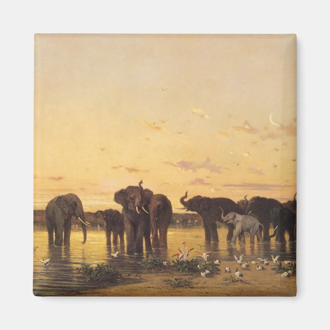 African Elephants Magnet (Front)