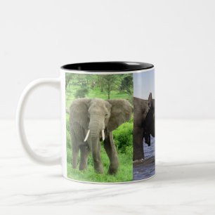 African Elephants Mug