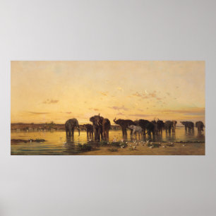 African Elephants Poster