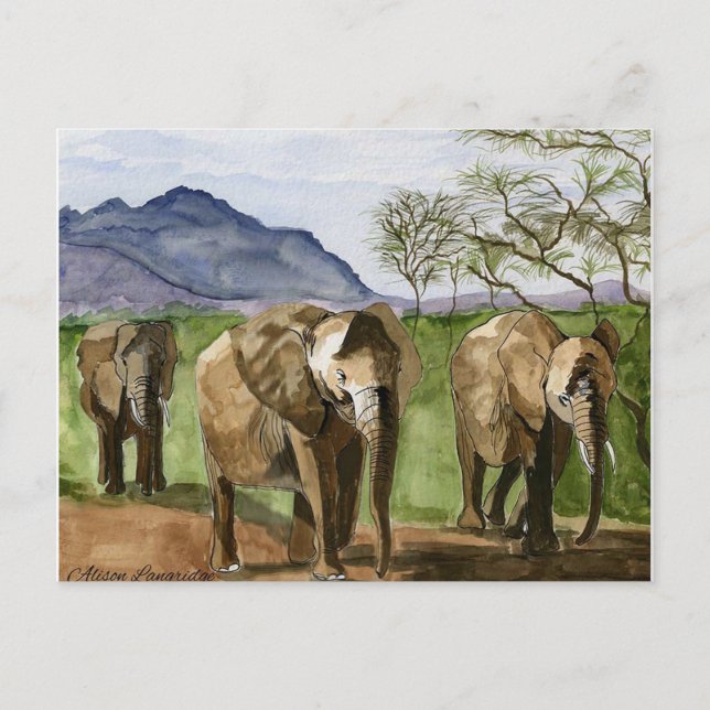 African Elephants Watercolor Painting Postcard (Front)