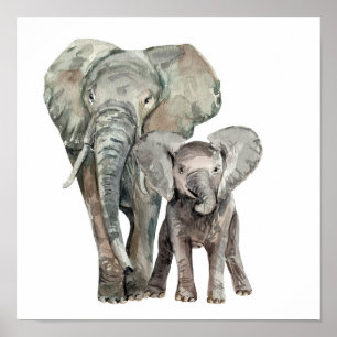 African Elephants wild animal Poster