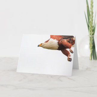 African Fish Eagle in flight Holiday Card