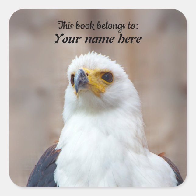 African Fish Eagle Sticker (Front)