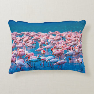 African flamingos. Group of flamingos stand in the Decorative Cushion