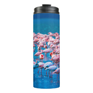 African flamingos. Group of flamingos stand in the Thermal Tumbler