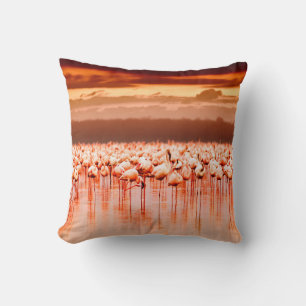 African flamingos in the lake over beautiful sunse cushion